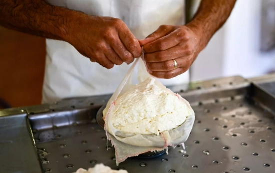 La elaboración del queso de Mahón / CAVALLERIA NOVA La elaboración del queso de Mahón / CAVALLERIA NOVA