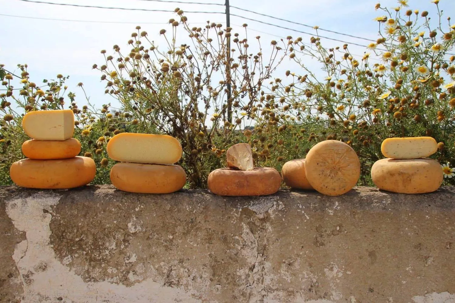 17769   2026 04 01T185421.234