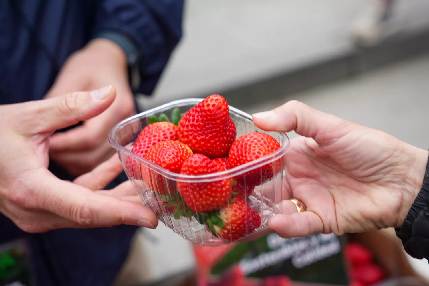 Representantes de UPA reparten fresas de Huelva