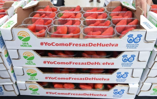 Varias cajas con fresas durante el reparto de tarrinas / EUROPA PRESS - GUSTAVO VALIENTE Varias cajas con fresas durante el reparto de tarrinas / EUROPA PRESS - GUSTAVO VALIENTE