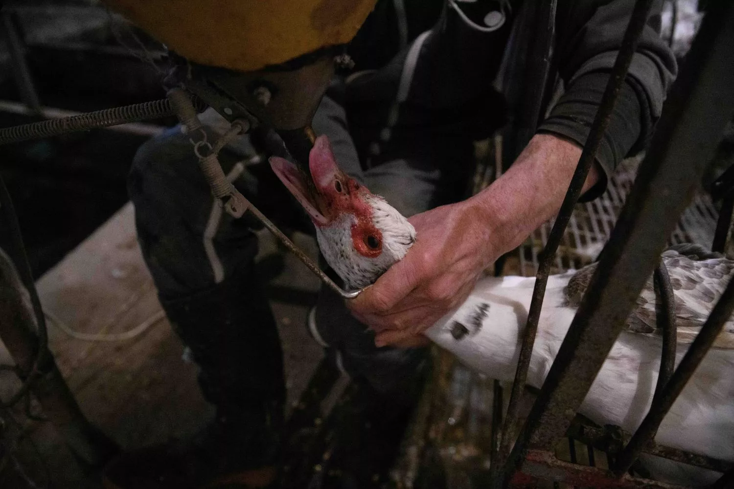 17769   2026 04 07T190058.353