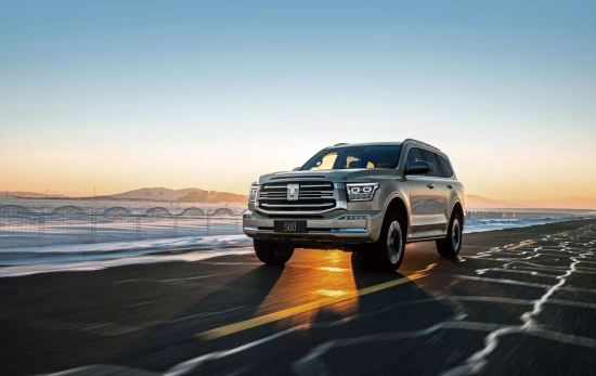 Vehículo de GWM / GWM Vehículo de GWM / GWM