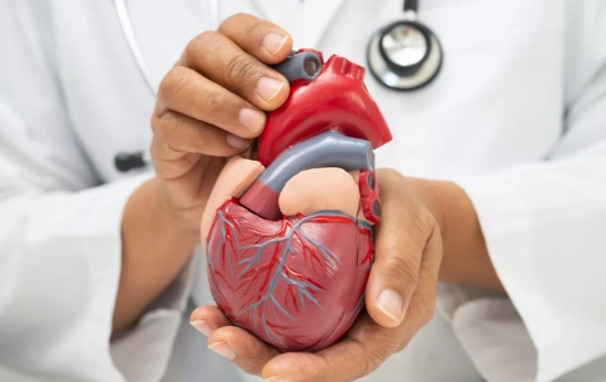 Salud cardiovascular/ CANVA