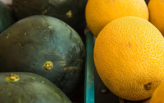 Melón y sandía / FREEPIK