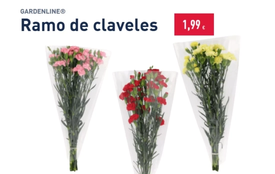 Ramo de claveles/ ALDI Ramo de claveles/ ALDI