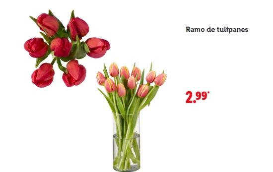 Ramo tulipanes/ LIDL