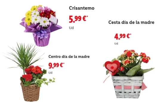 Centros del día de la madre/ LIDL
