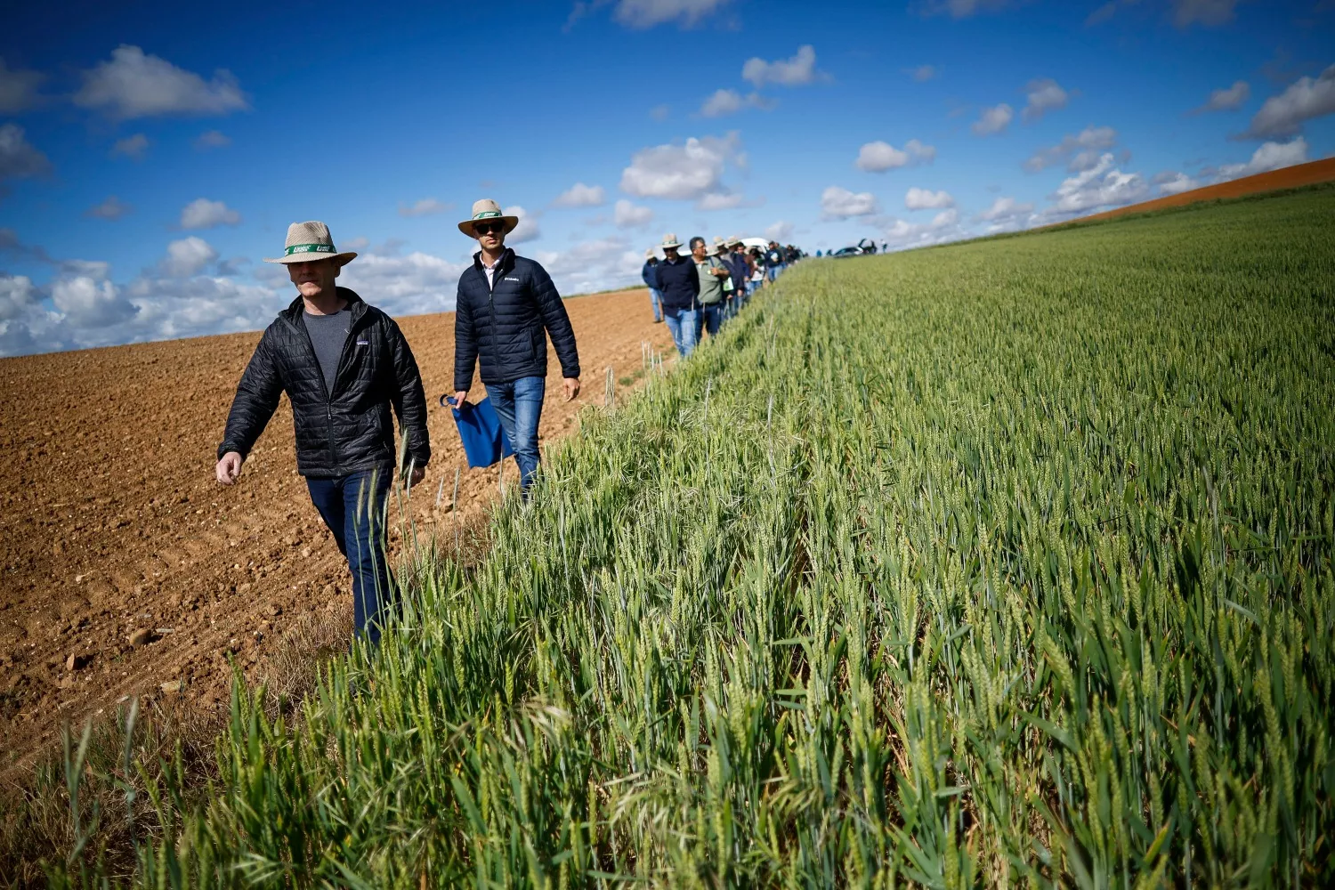 Varios agricultores durante su jornada David Fernández EFE Varios agricultores durante su jornada David Fernández EFE