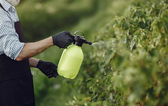 Un agricultor rocía plantas con herbicida / MAGNIFIC