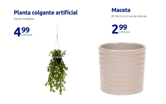 Maceta y planta par exterior/ ACTION