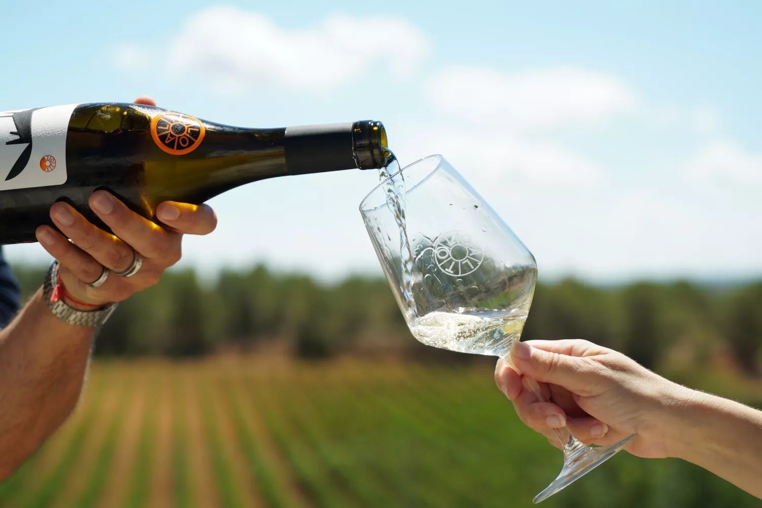 Una persona sirve una copa de un vino LoAlto