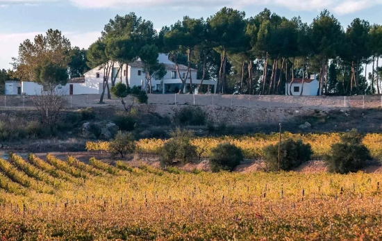 Una imagen de la casa y los viñedos / LOALTO Una imagen de la casa y los viñedos / LOALTO
