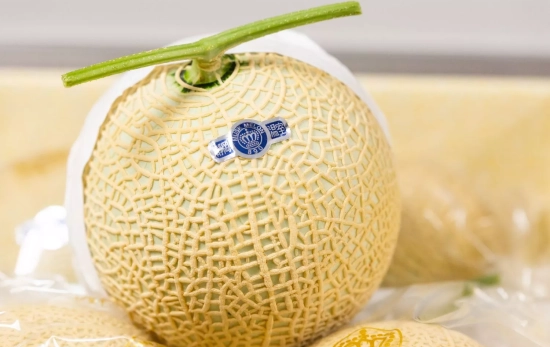 Crown Melon / CEDIDA Crown Melon / CEDIDA