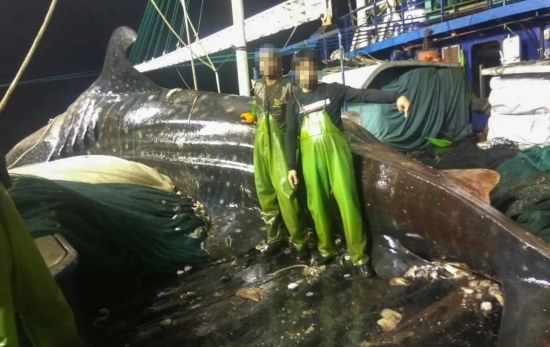 Dos pescados posan junto a un tiburón capturado / CEDIDA POR EJF Dos pescados posan junto a un tiburón capturado / CEDIDA POR EJF
