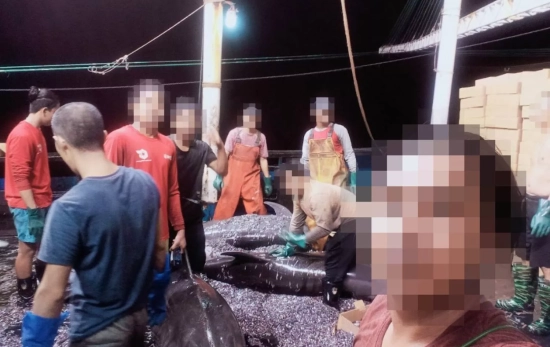 Pescadores junto a varios delfines y otros peces / CEDIDA POR EJF Pescadores junto a varios delfines y otros peces / CEDIDA POR EJF