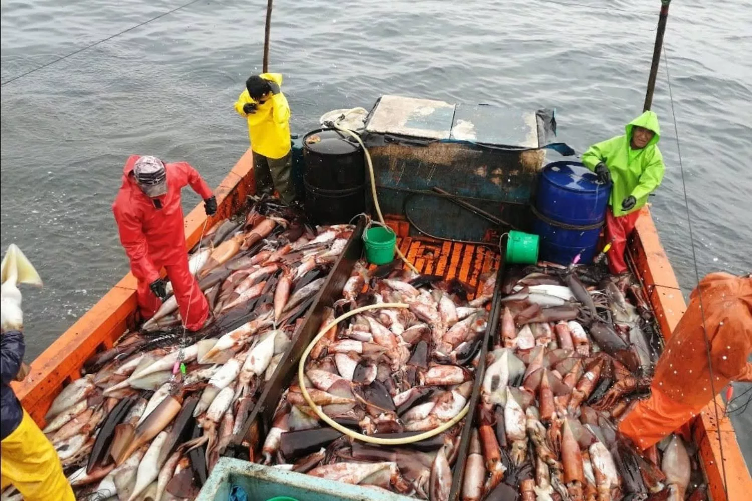 Unos pescadores capturan calamar en aguas internacionales   CEDIDA POR EJF