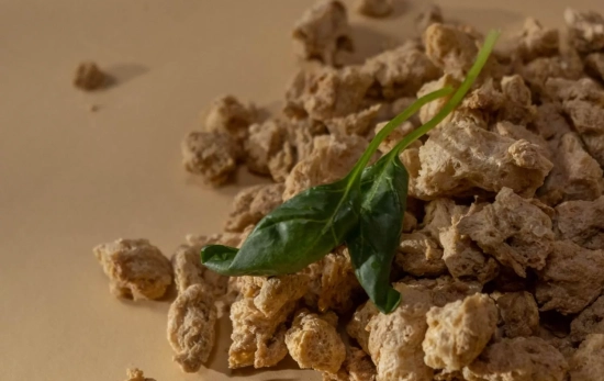 Carne vegetal
