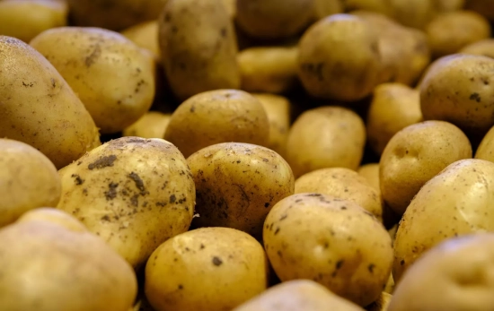 Patatas en el campo / PEXELS Patatas en el campo / PEXELS