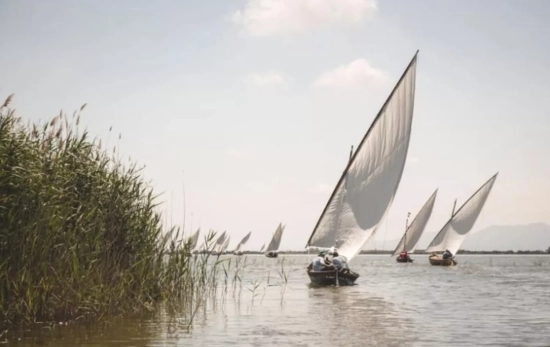 La Albufera / VISITVALENCIA.COM La Albufera / VISITVALENCIA.COM