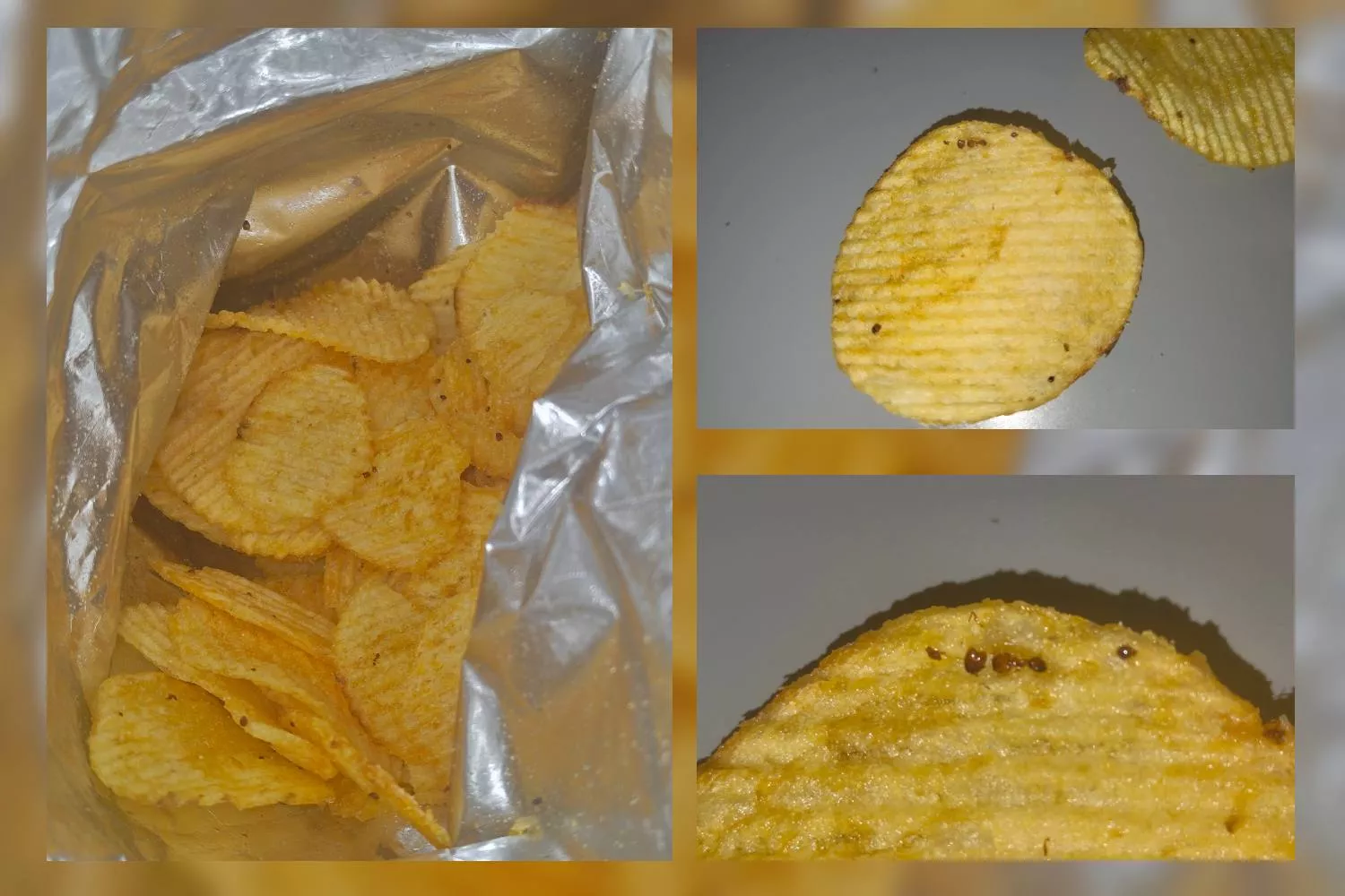 Varias de las imágenes de las patatas con bichos   Fotomontaje CG
