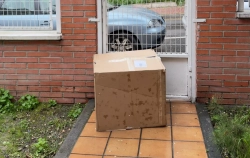 Un repartidor lanza un paquete de 17 kilos y destroza una subasta entera de John Pye