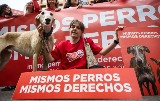 Varias personas portan pancarta con lema 'Mismos perros, mismos derechos' durante una manifestación Varias personas portan pancarta con lema 'Mismos perros, mismos derechos' durante una manifestación