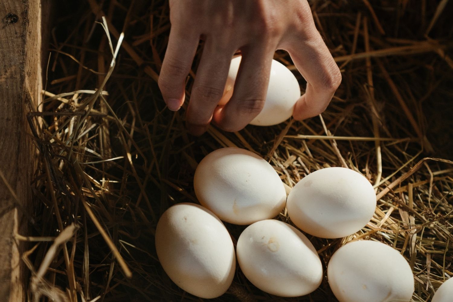 La mano de una persona cogiendo un huevo / PEXELS