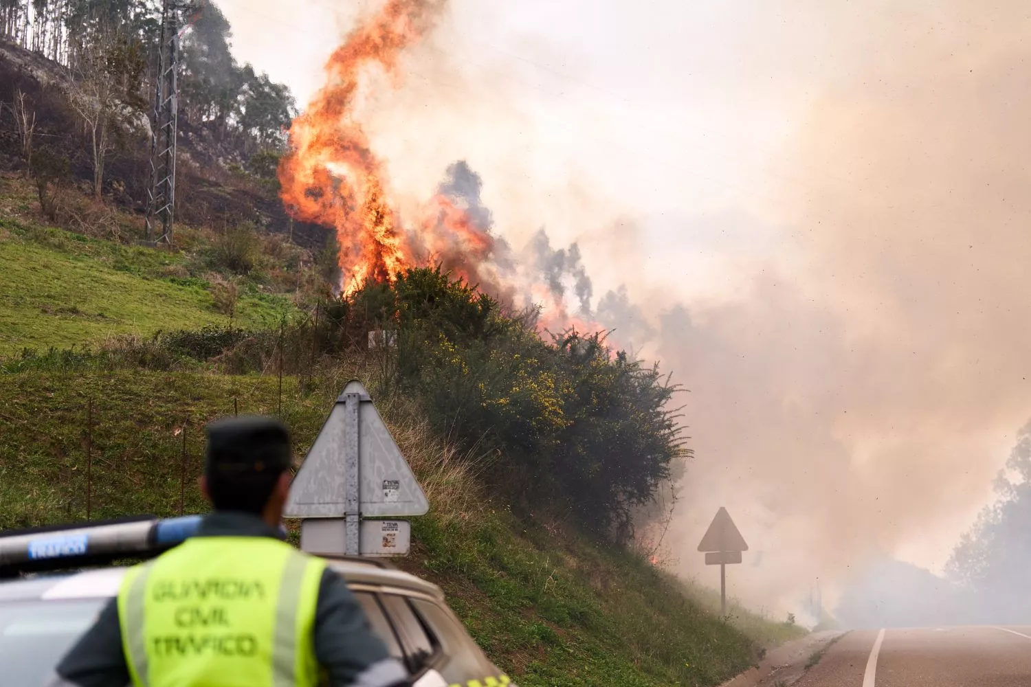 Un agente observa como el fuego se acerca en una carretera de Cantabria / EUROPA PRESS - JUANMA SERRANO