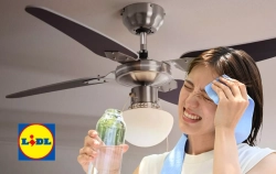 Adiós a la ola de calor: Lidl lanza en su sección de bazar los ventiladores de techo que te solucionarán el problema de las noches tropicales