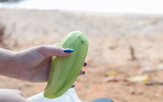 Una mujer pelando un pepino en la playa/ CANVA Una mujer pelando un pepino en la playa/ CANVA