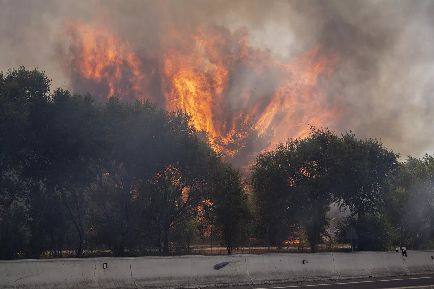 El incendio forestal en la carretera M 206, entre Torrejón de Ardoz y Loeches, que obligó a cortar la circulación del AVE el 23 de julio de 2026 ALBERTO ORTEGA EP