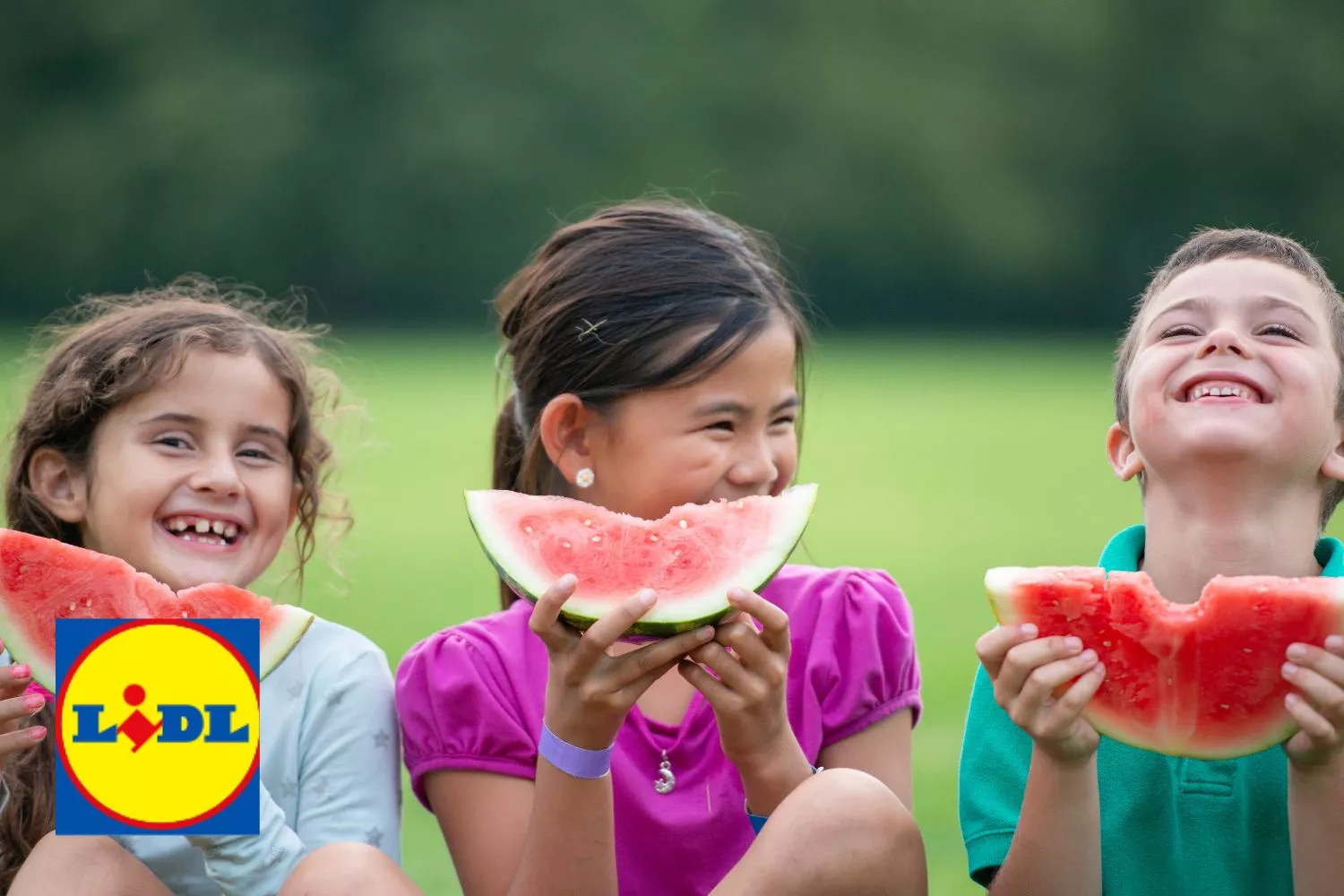 El logo de Lidl y niños comiendo sandía / Fotomontaje CONSUMIDOR GLOBAL