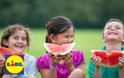 Adiós al aburrimiento: Lidl tiene cinco productos increíbles para entretener a tus hijos las tardes de verano