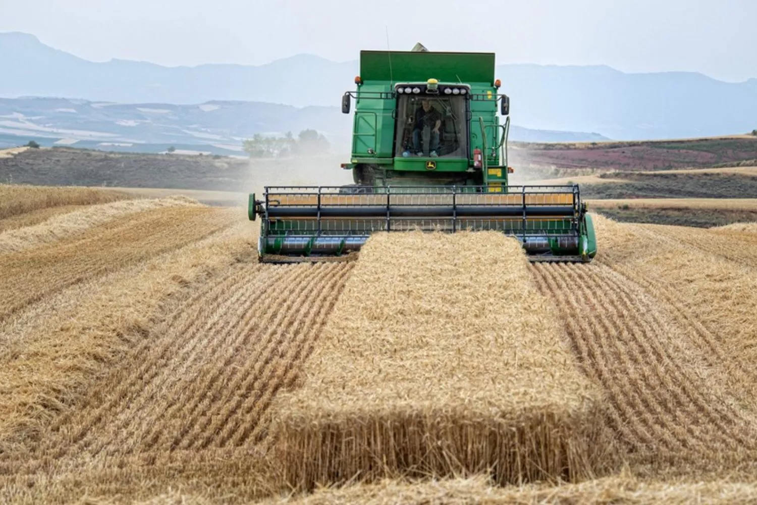 Una cosechadora en un campo de trigo español / EFEAGRO - Raquel Manzanares