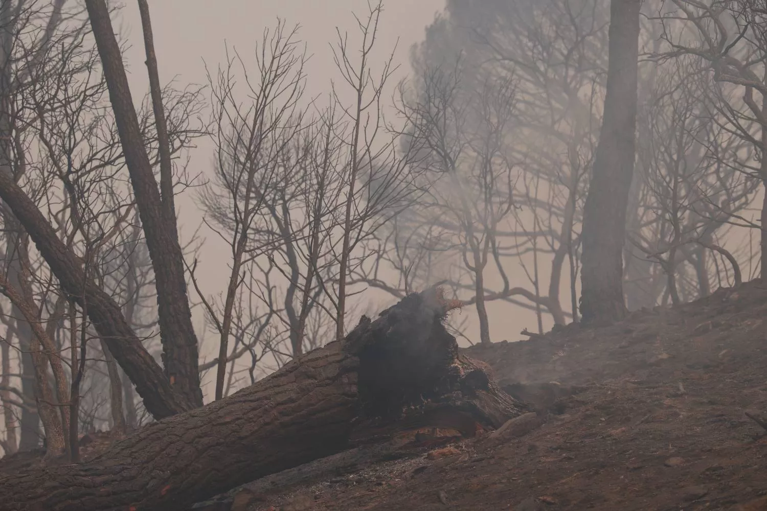 Incendio en la Sierra Oeste de Madrid / EP