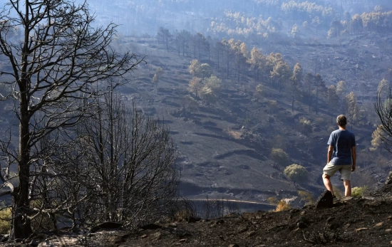 Pinares arrasados por el incendio de Burgohondo (Ávila) Raúl Sanchidrián EFE Pinares arrasados por el incendio de Burgohondo (Ávila) Raúl Sanchidrián EFE
