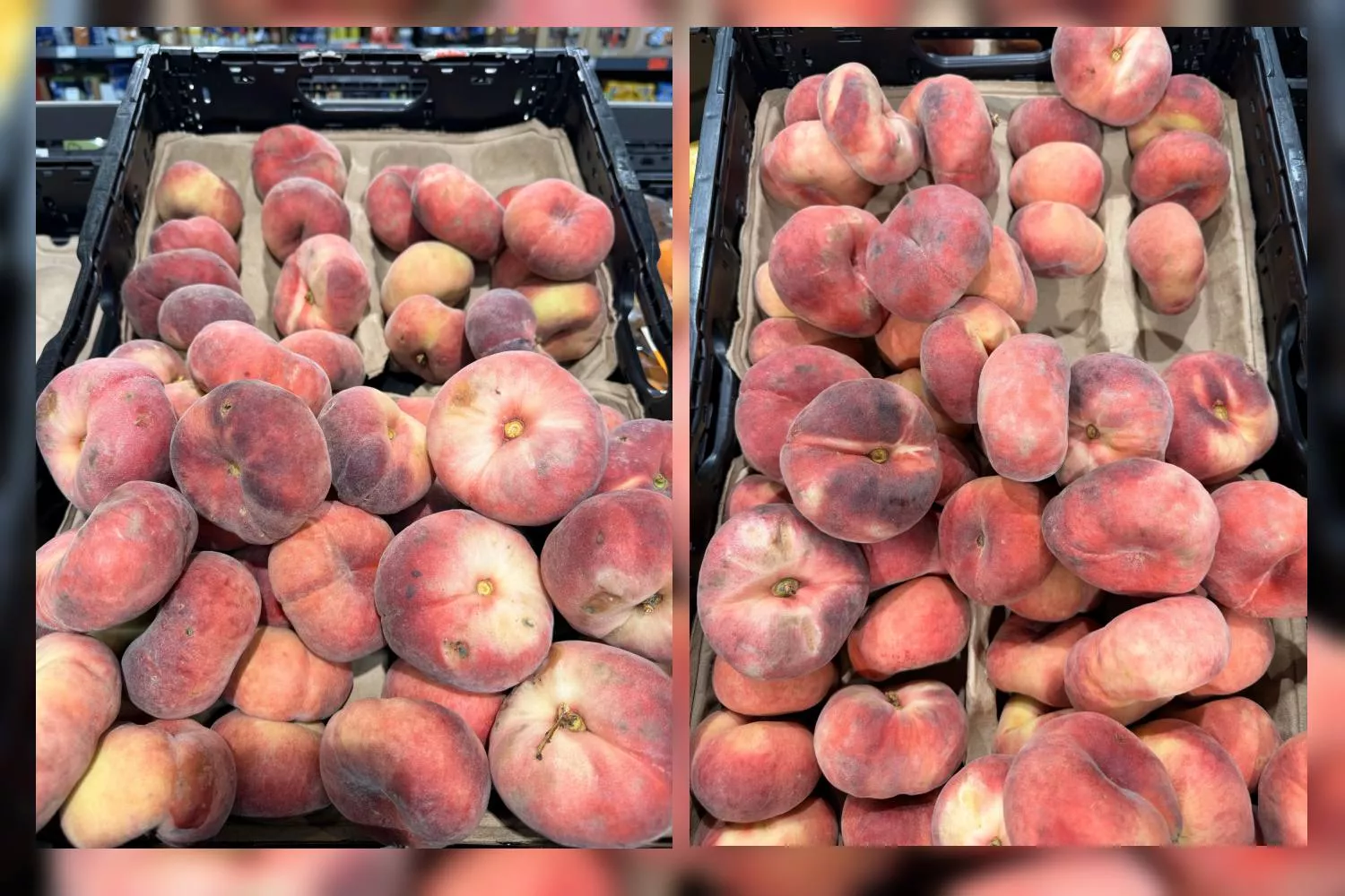Un par de cajas de paraguayos con moho vendidas en Aldi / Cedidas