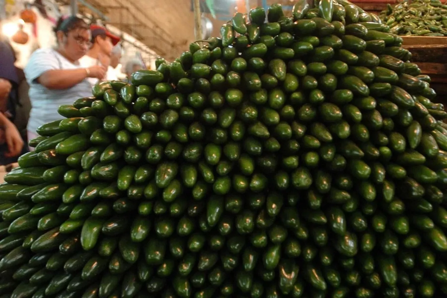 Jalapeños mexicanos   Sáshenka Gutiérrez   EFE