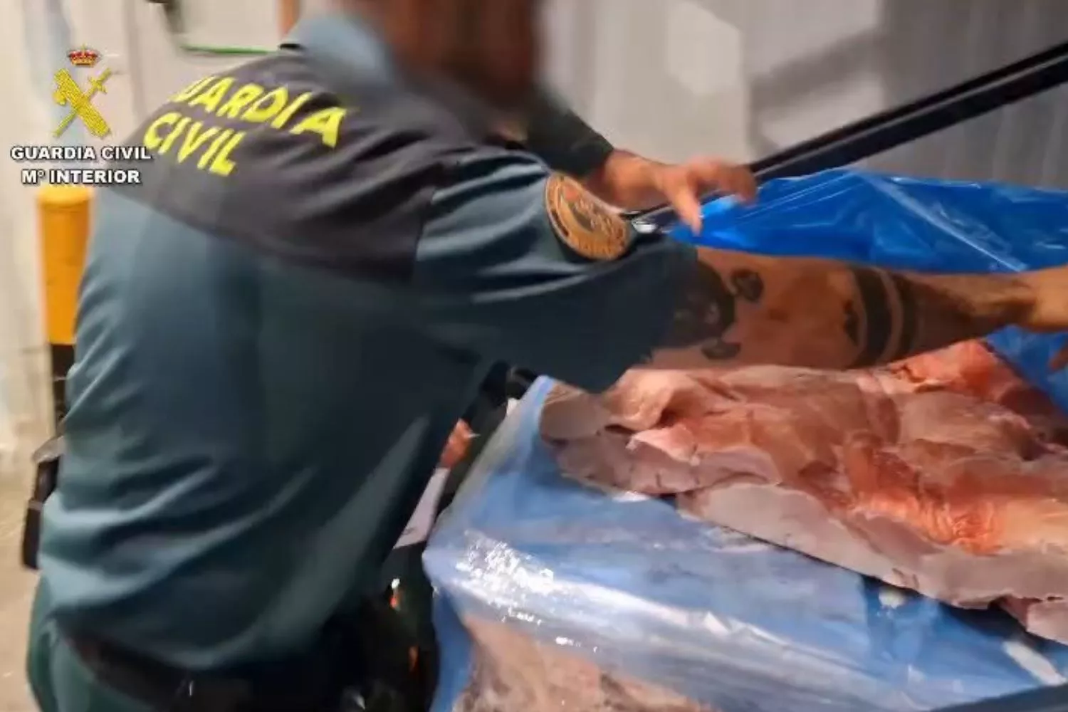 Un agente de la Guardia Civil abre un paquete de carne no apta para el consumo / X