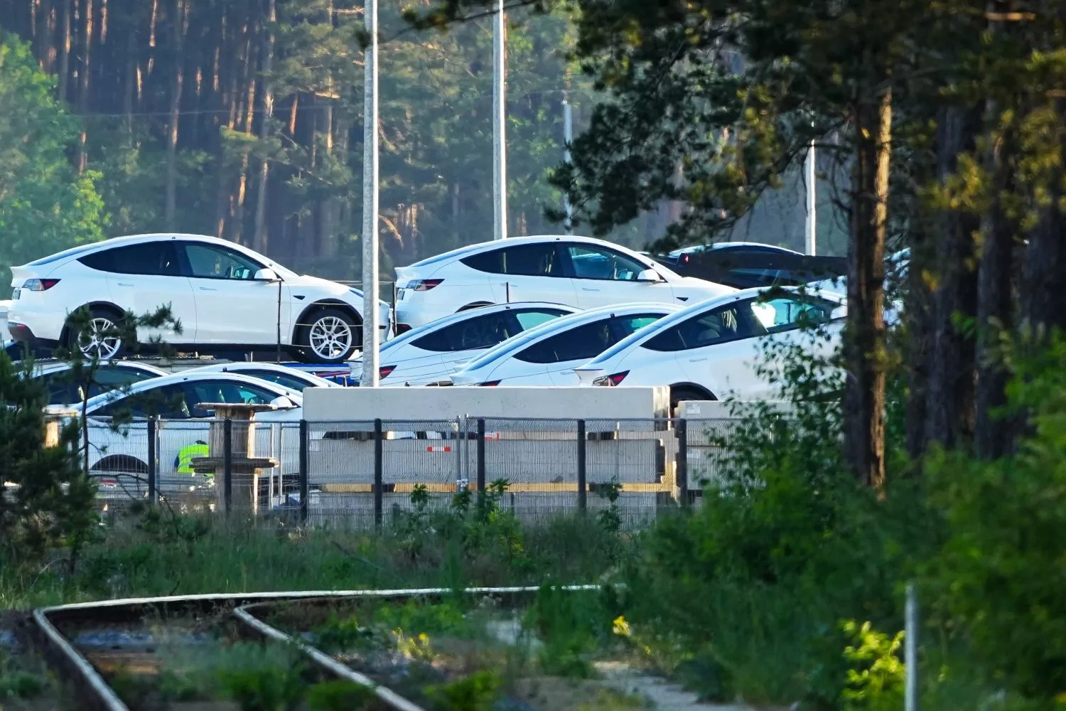 Coches de Tesla transportados / Soeren Stache - EP