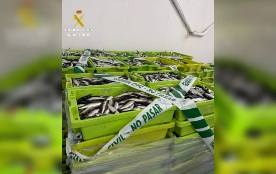 Sardinas incautadas en Cangas / GUARDIA CIVIL Sardinas incautadas en Cangas / GUARDIA CIVIL