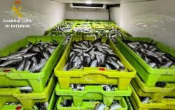 Cazan un pesquero 'fantasma' en Galicia con 2.500 kilos de sardina ilegal