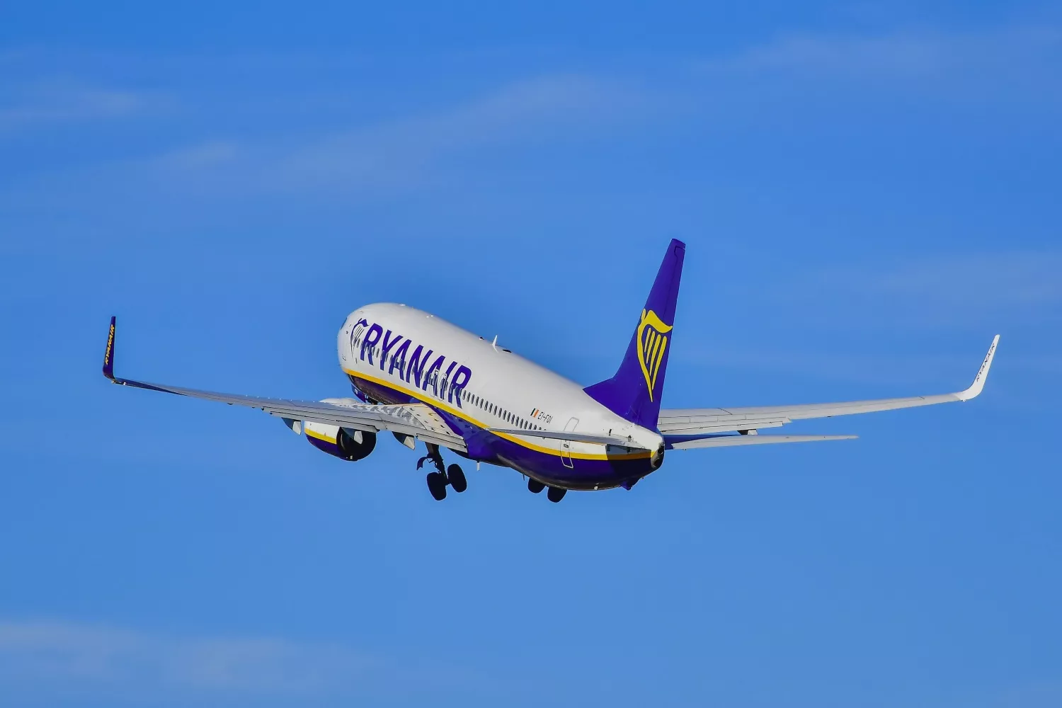 Un avión de Ryanair / PEXELS 