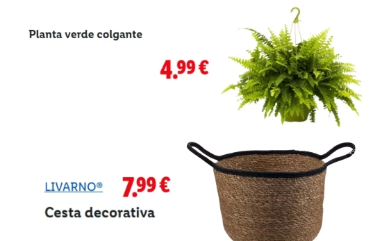 Cesta de fibras y planta/ LIDL Cesta de fibras y planta/ LIDL