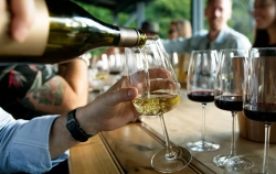 Los mejores blancos de España, según la Guía Vinos Gourmets 2027