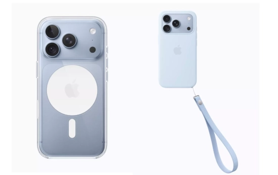 Aspecto de la funda y la correa / APPLE Aspecto de la funda y la correa / APPLE