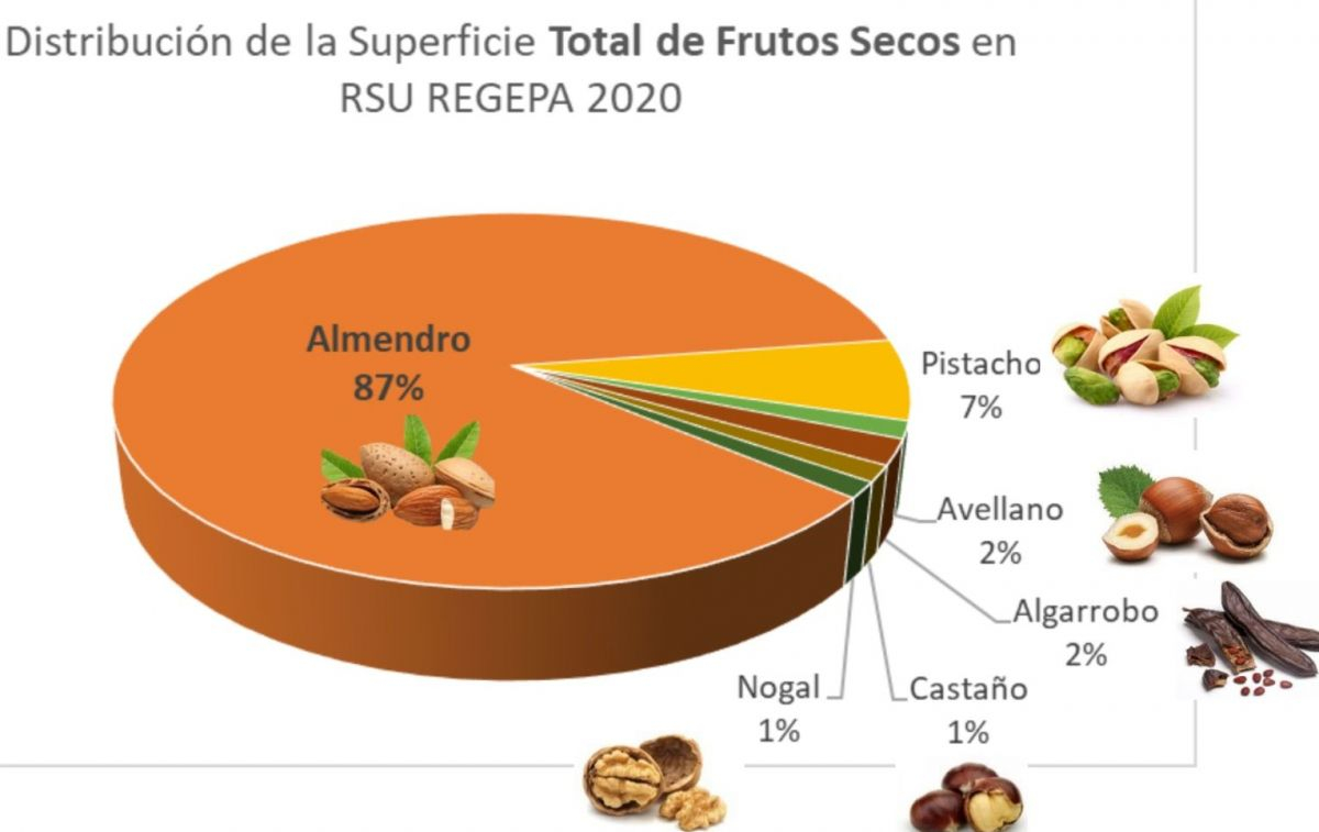 Cultivos de frutos secos en España / MINISTERIO DE AGRICULTURA, PESCA Y ALIMENTACIÓN
