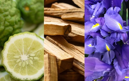 Notas del perfume Blue de Mercadona: bergamota, iris y sándalo/ Fotomontaje Cosumidor Global
