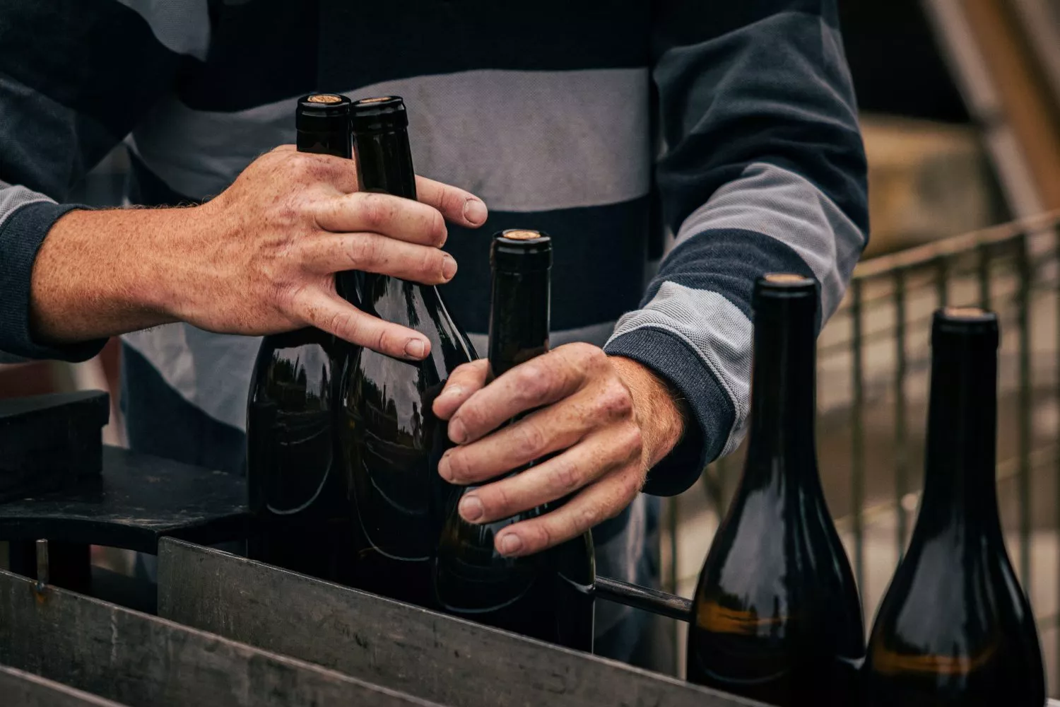Un productor con varias botellas de vino   PEXELS