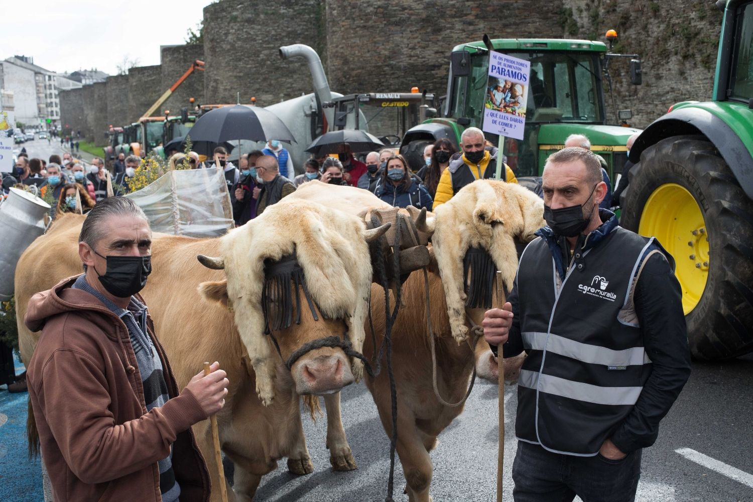 Varias ganaderos protestan con sus vacas y tractores / EP